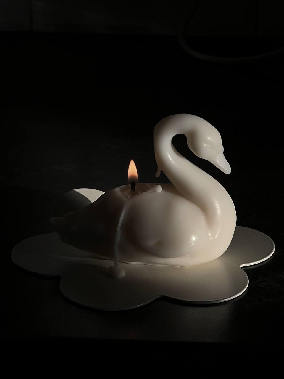 Идеальные подарки🪄