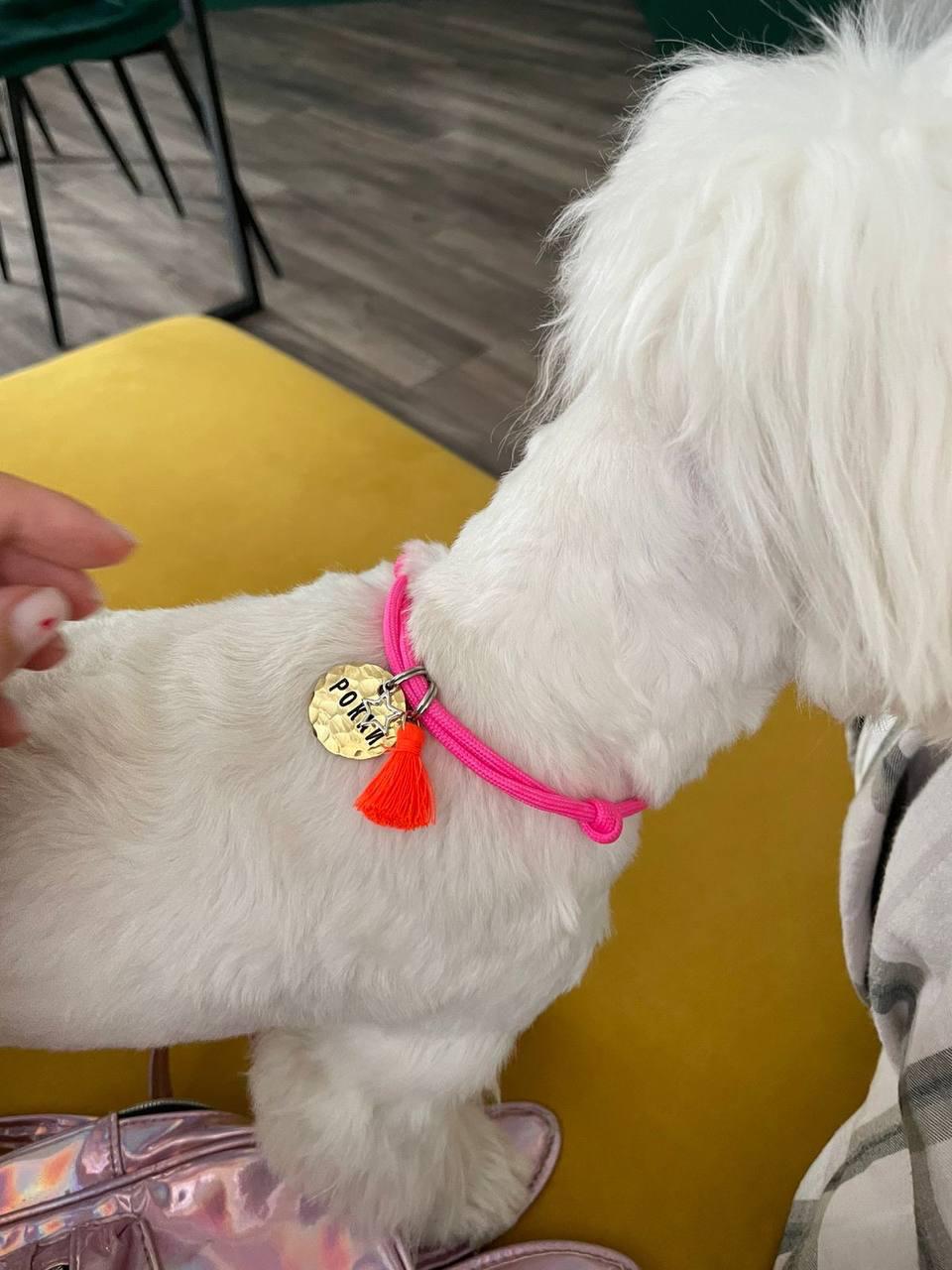 Адресник - самый важный аксессуар для вашего хвостика!
Заказать: pennysheldon.com 