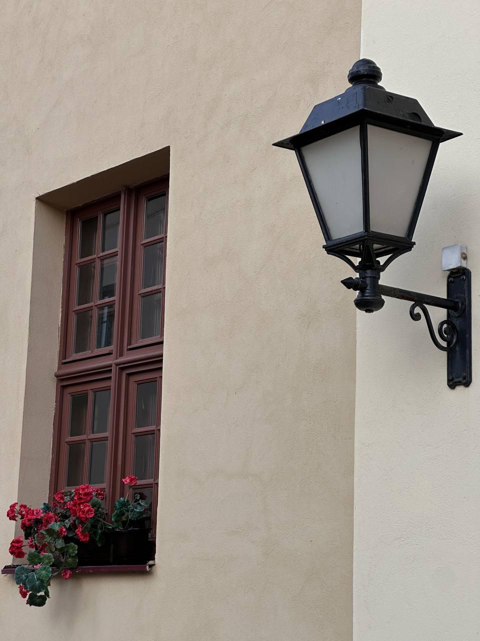 Рандомные фотокарточки из телефонной галереи. 

Окружать себя красивым каждый день - единственная задача, с которой я справляюсь филигранно. 