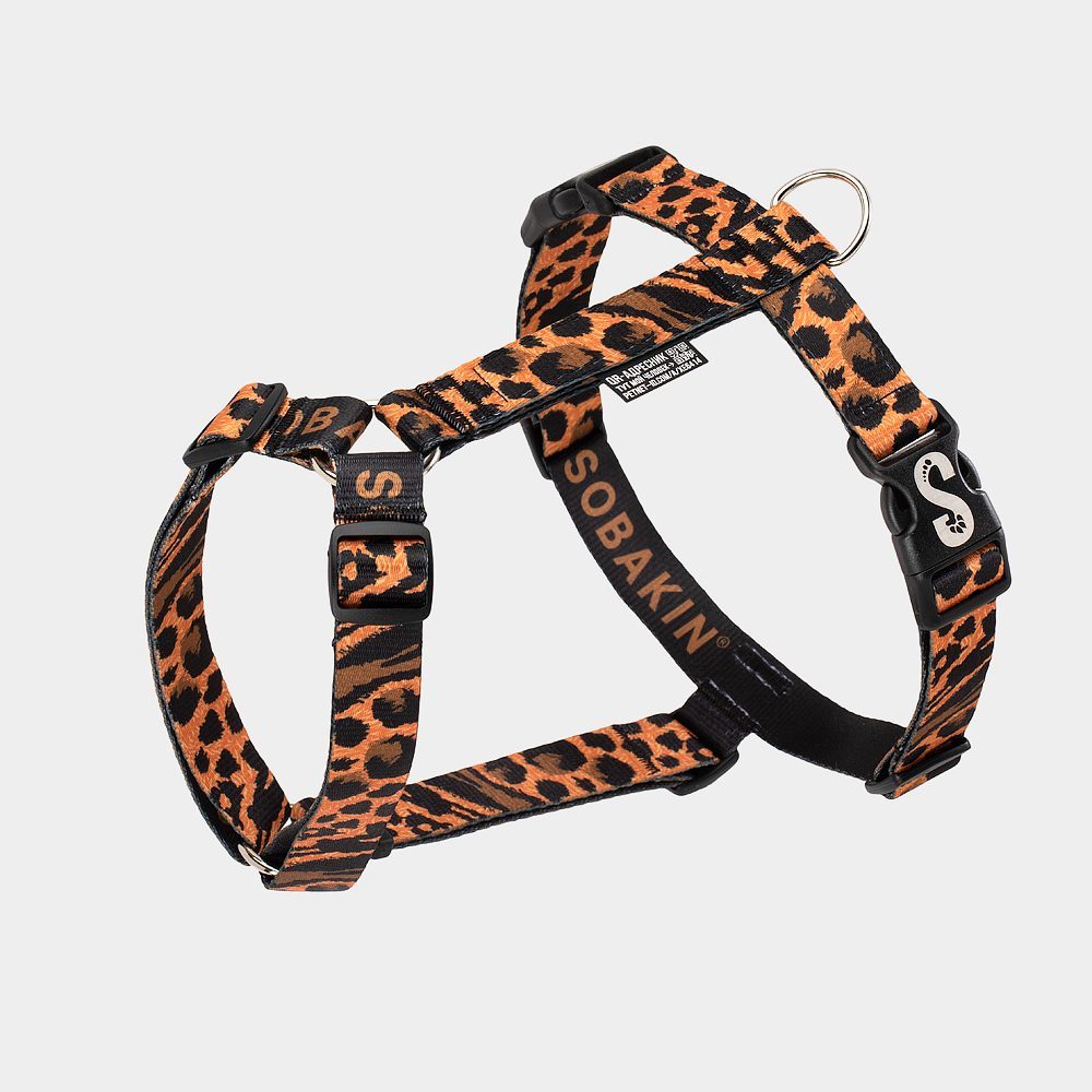 Самая удобная шлейка для вашего хвостика