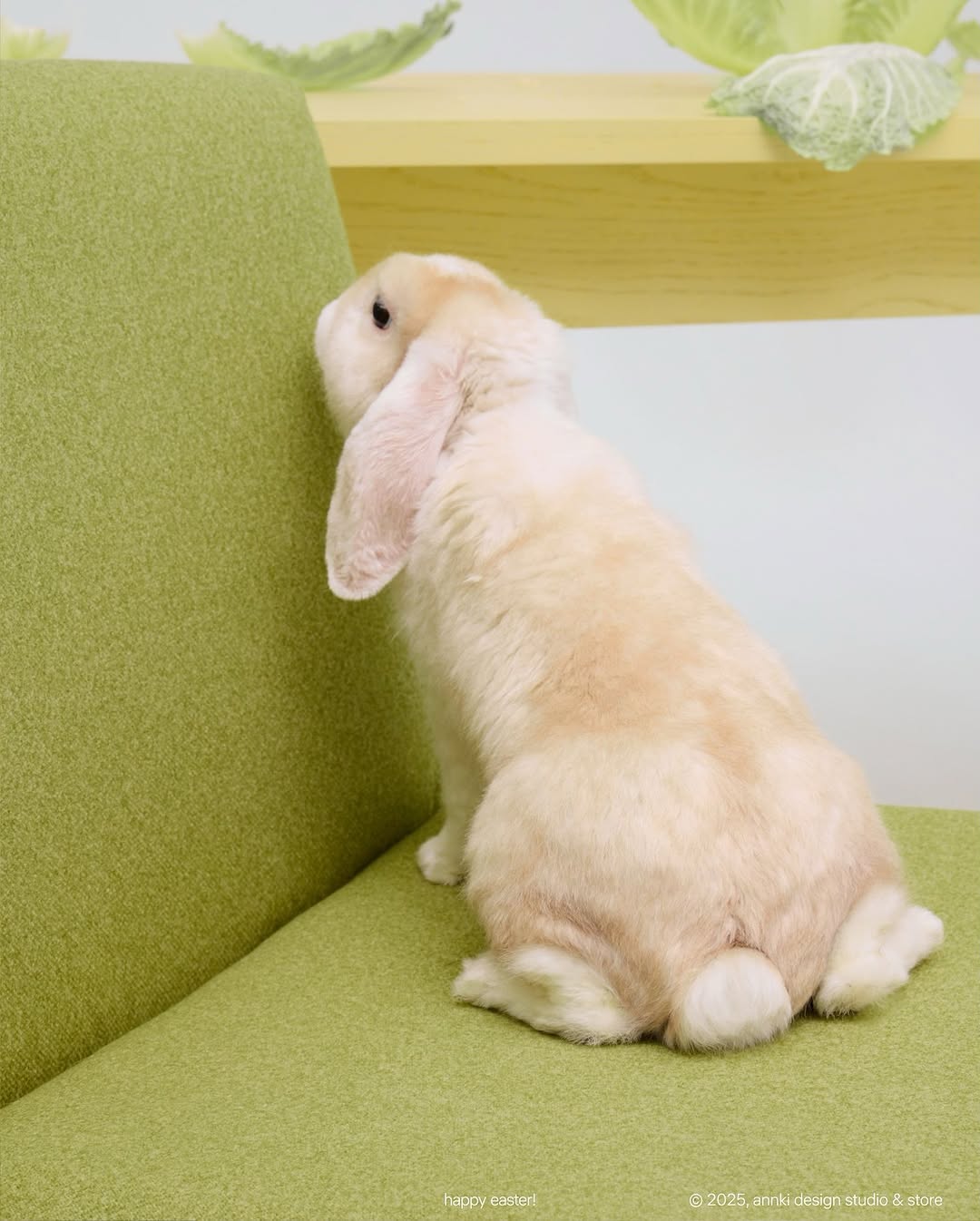 — следуй за белым кроликом.
/ цитата, «алиса в стране чудес», л. кэрролл

———
(а)objects: steve dinner chair
upholstery: eco wool, made in belgium 
col: grass
#steve_dinner_chair