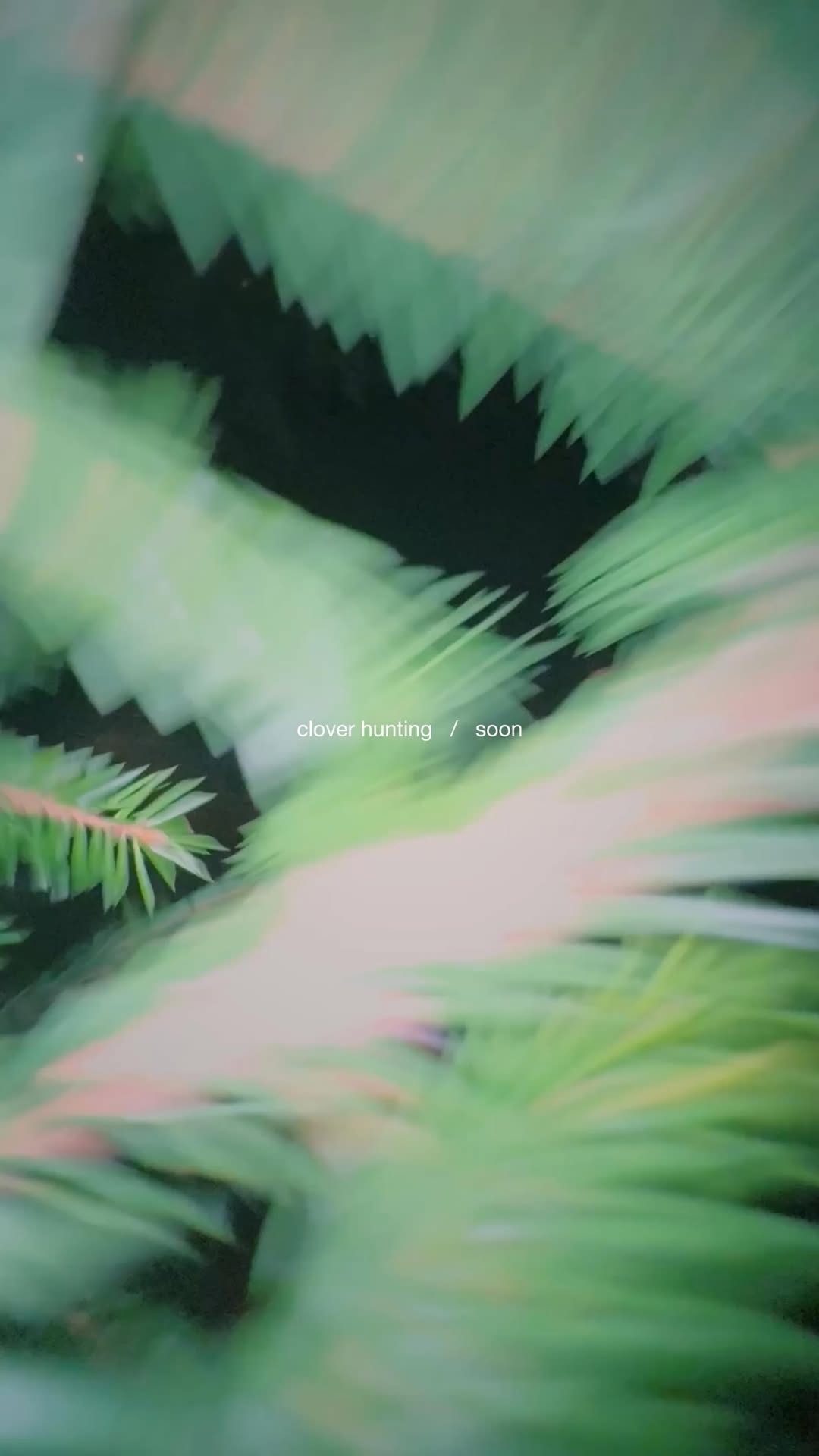 clover hunting / soon

———
мы планировали запуск квеста и ежегодный розыгрыш clover’ов в конце октября. но ситуация с кражей скамьи в @eggsellent.ru побудила нас действовать быстрее. 

следите за анонсами!
и честно ответьте себе на вопрос: зачем вам clover?

å.

———
«каждым преступлением и каждой добротой мы рождаем наше будущее» / цитата / д. митчелл.