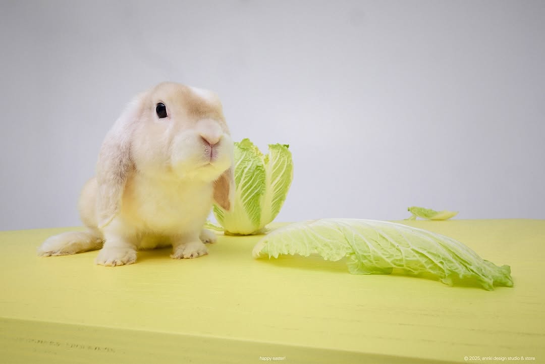 happy easter!

———
(a)object: bill table
col: yellow green 
#bill_table