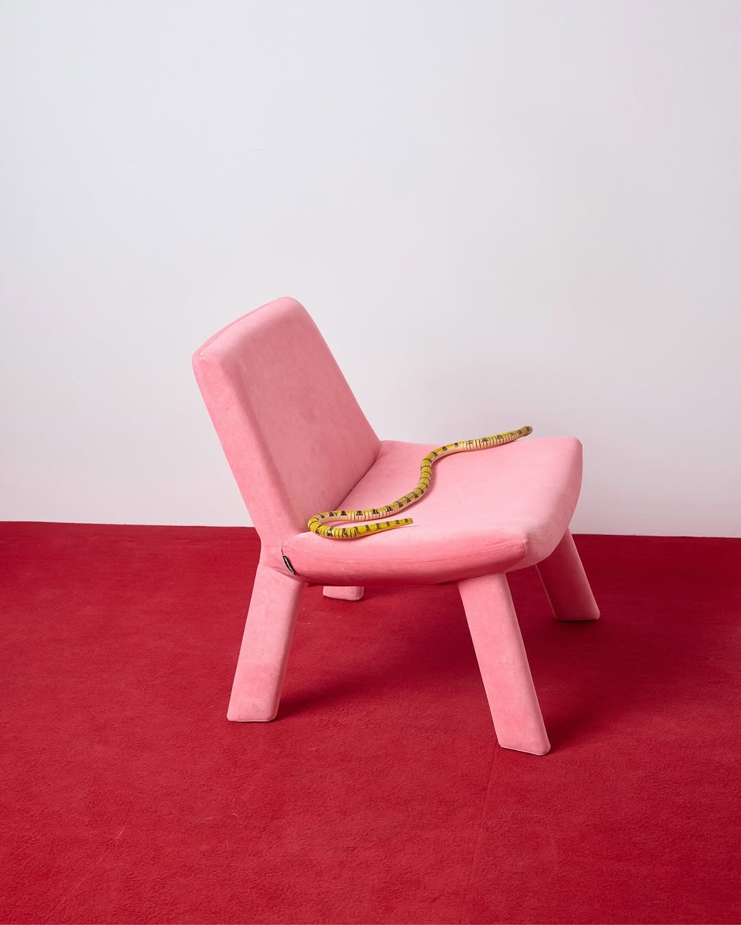 змея, сбрасывая кожу, символизирует перемены и обновления. поэтому новый год — время для трансформаций [как внешних, так и внутренних]. 

начните 2025 с обновления интерьера, а предметы annki вам в этом помогут. 

p.s. напоминаем, сертификат annki studio — идеальный способ порадовать ваших близких [и не придется стоять в пробках]