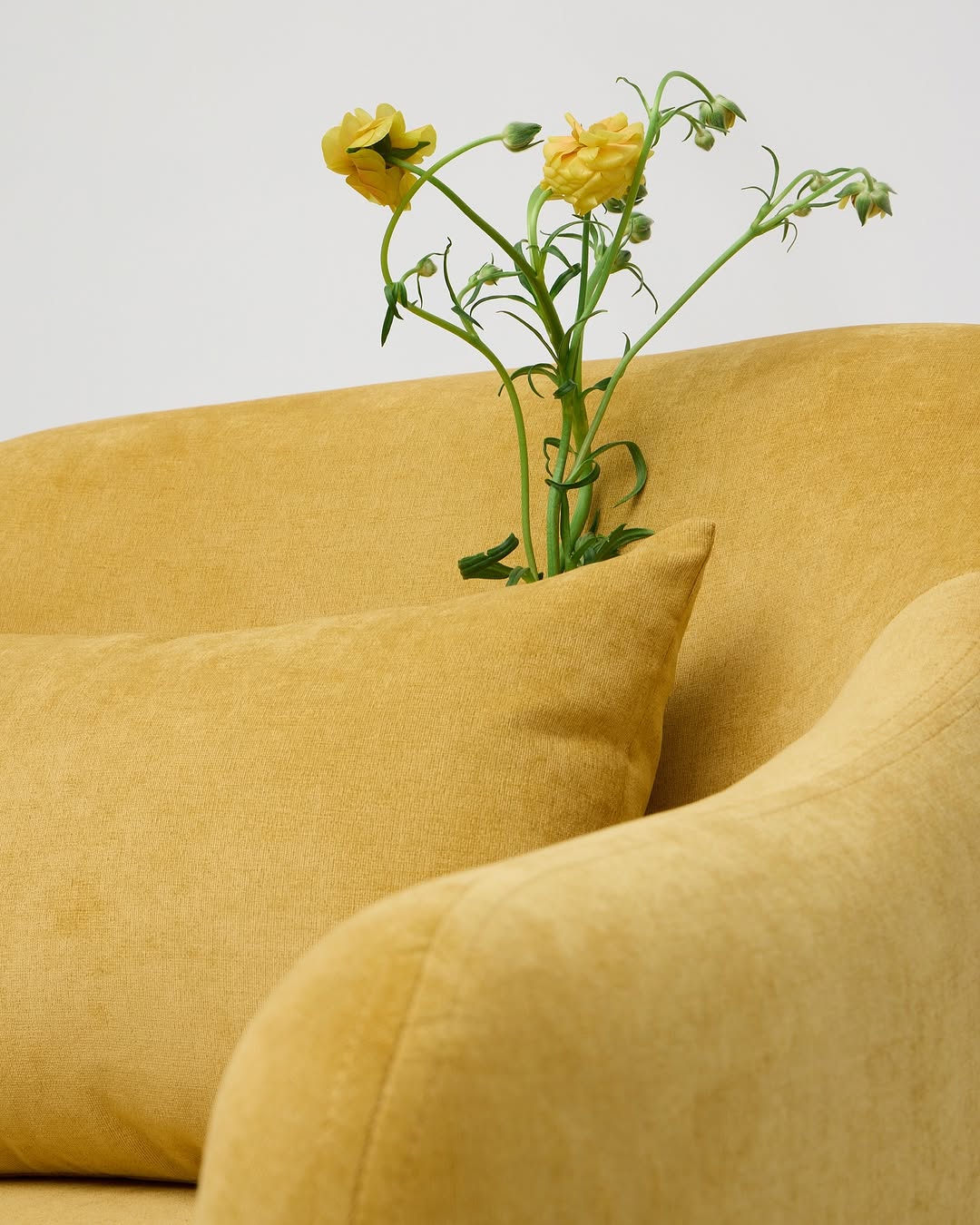 жёлтый отражает много света, один из самых тёплых и ярких цветов видимого спектра. он привлекает внимание, заряжает энергией и ассоциируется с солнцем.

институт pantone выбирал жёлтый цветом года несколько раз и всегда давал ему очень радостные, жизнеутверждающие объяснения. цветом 2009 года был выбран pantone 14-0848 mimosa: его выбрали как цвет тепла, процветания, надежды и оптимизма. цветом 2021-го назвали pantone 13-0647 Illuminating, призванный «вдохновить и вселить в нас надежду, зарядить энергией».

к слову, у нас всегда есть возможность наполнить свой дом теплом, процветанием и надеждой — хотя бы выбрав жёлтый цвет для акцентных объектов в интерьере. в нашем весеннем дропе мы так и сделали: обили кресло ernest в жёлтый велюр. оптимистично! жизнерадостно! свежо!

———
(a)object: ernest armchair
upholstery: micro-velour 
col: yellow
#ernest_chair